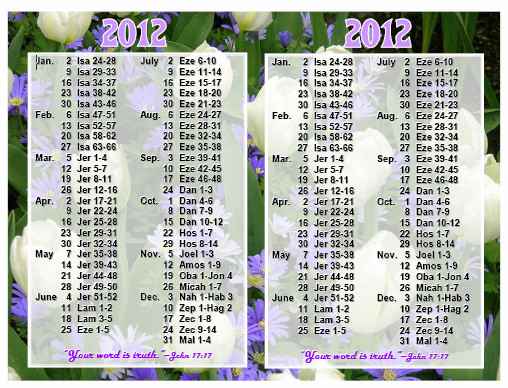 2012 Bible Reading